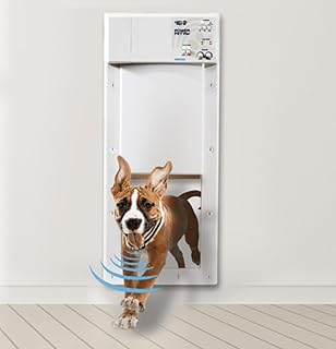 High-Tech 4L Automatic Pet Feeder for Cats/Dogs Innovative Pet Products