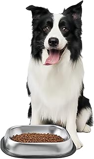 5L 304 Bowls Pet Automatic Feeder for Dogs & Cats with Tuya APP