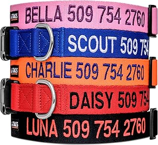 Customized Dog Collar with GPS Tracking and Anti-Lost Features