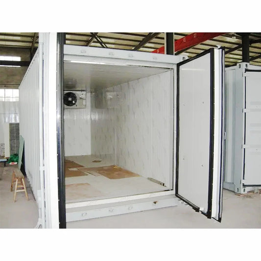 RUIXUE 20ft Container Solar Powered Food Cold Storage Rooms Walk in Freezer Mobile Cold Room