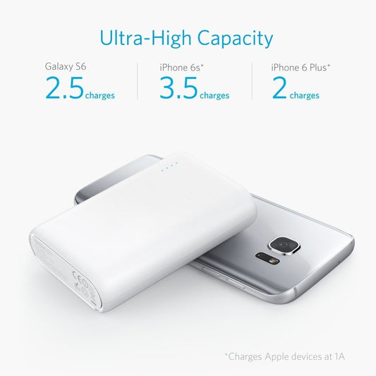 Power Bank (10000mAh high-capacity battery)