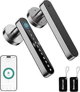 Fingerprint Electric Handle Lock Ttlock Smart Home Door Lock Biometric Fingerprint Lock for Wooden Door