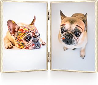 Pressed 1/2 Double Kitchen Sink Brushed Surface