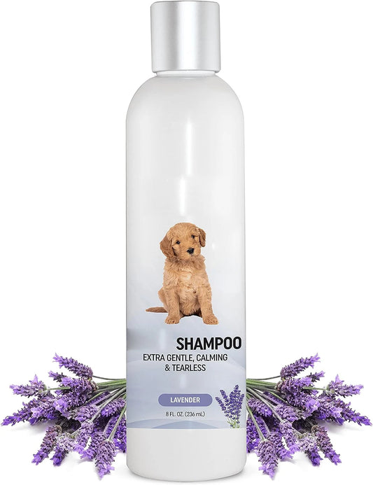 Organic Ingredients Cat Dog Shampoo and Conditioner Anti Itch Dog Shampoo Sensitive Skin