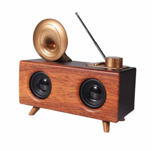 Hobipix Antique Classic Wooden Bluetooth Speaker FM Radio-Gramophone B6